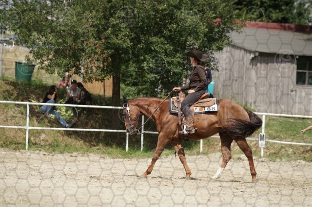 s_K3F07081.JPG